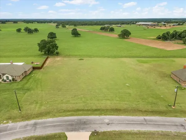 131 Brock Lane, Millsap, TX 76066