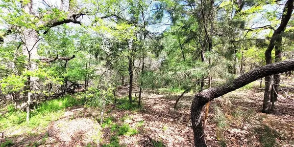 397 Clubhouse Drive, Burleson, TX 76058