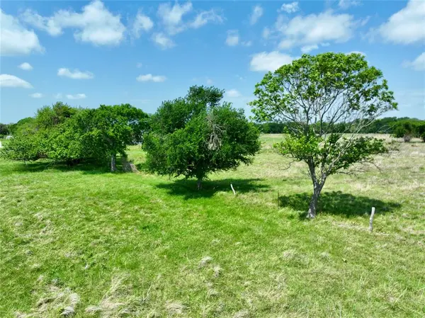 TBD 11 acres Fm 1183, Alma, TX 75119