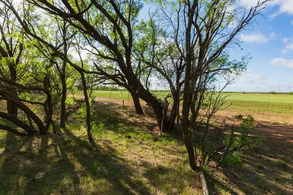 TBD Farm Market 600 Highway, Haskell, TX 79521