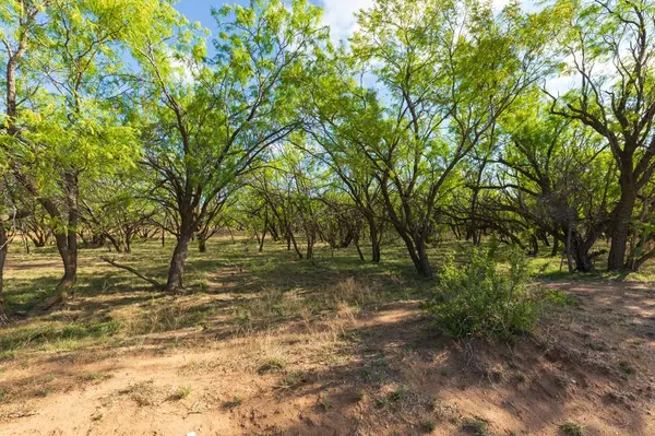 TBD Farm Market 600 Highway, Haskell, TX 79521