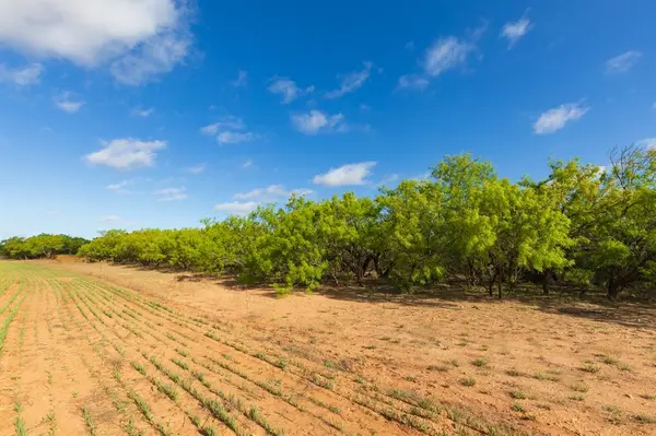 TBD Farm Market 600 Highway, Haskell, TX 79521