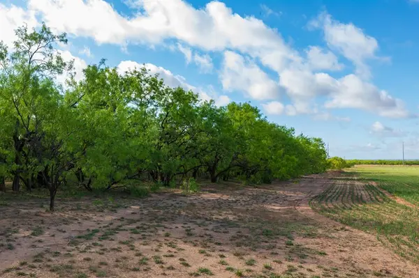 TBD Farm Market 600 Highway, Haskell, TX 79521