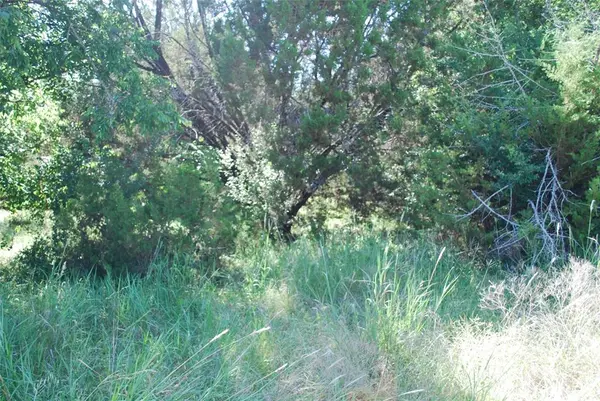 1306 Overlook Drive, Whitney, TX 76692