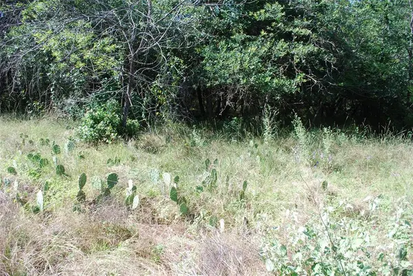 1306 Overlook Drive, Whitney, TX 76692