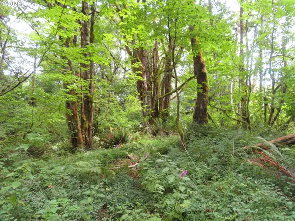 VALLEY VIEW DR #11, Mossyrock, WA 98564