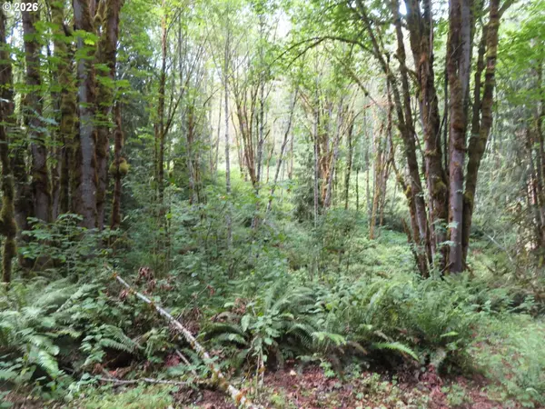 VALLEY VIEW DR #11, Mossyrock, WA 98564