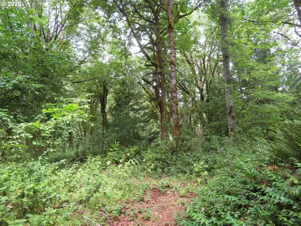 VALLEY VIEW DR #11, Mossyrock, WA 98564