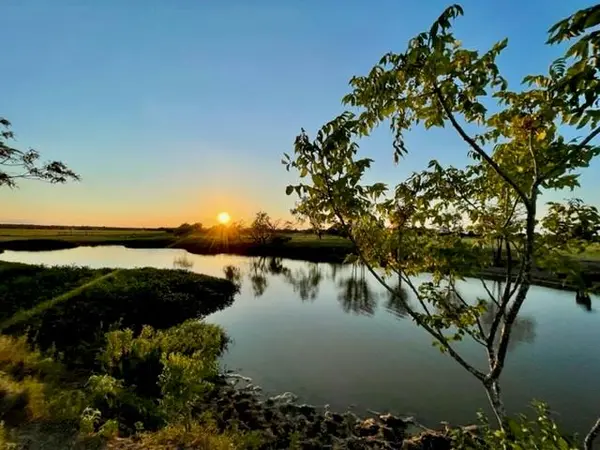 TBD CR 358, Gause, TX 77857