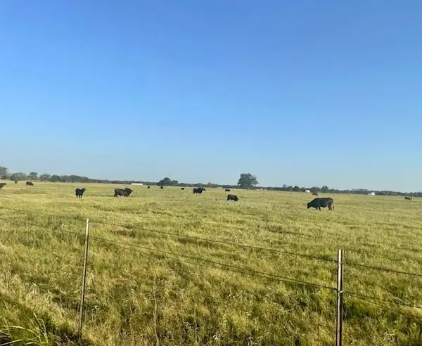 TBD CR 358, Gause, TX 77857