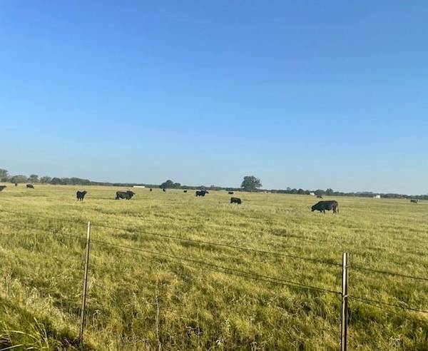 TBD CR 358, Gause, TX 77857