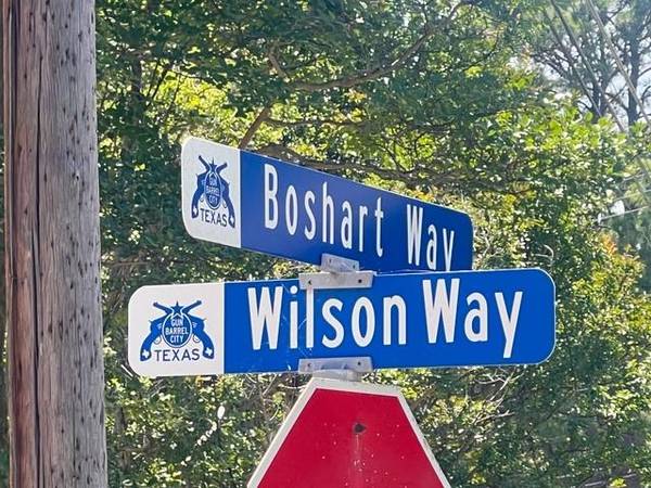 132 Wilson Way, Gun Barrel City, TX 75156