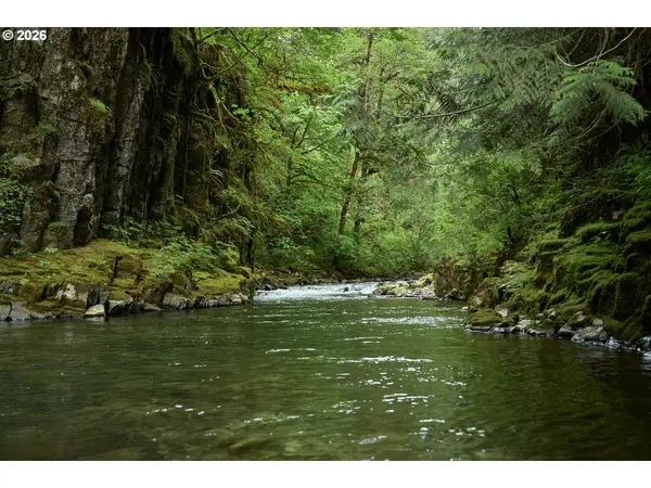 1241 N FORK RD, Washougal, WA 98671