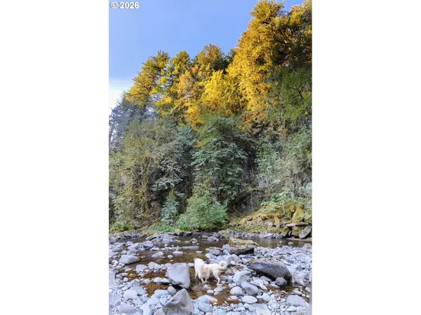 1241 N FORK RD, Washougal, WA 98671
