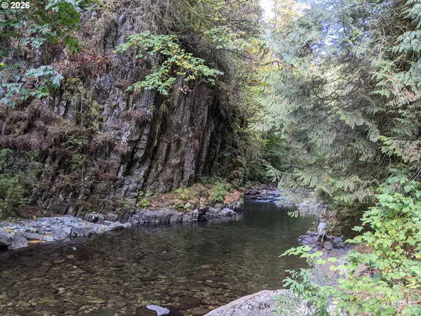 1241 N FORK RD, Washougal, WA 98671