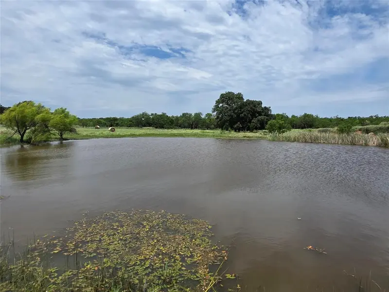 2251 Fm 585, Bangs, TX 76823