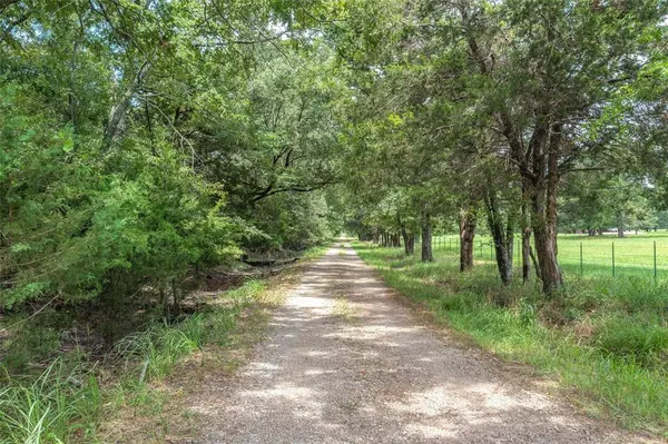 TBD FM 1197, Yantis, TX 75497