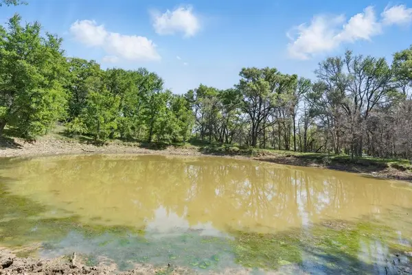 1359 CR 195 #A, Gorman, TX 76454
