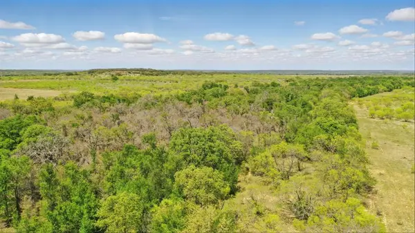 1359 CR 195 #A, Gorman, TX 76454