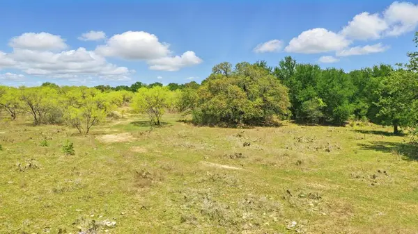 1359 CR 195 #A, Gorman, TX 76454