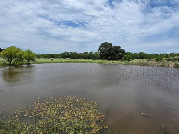 2251 Fm 585, Bangs, TX 76823