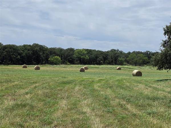 2251 Fm 585, Bangs, TX 76823