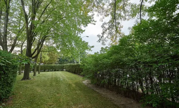 10 Lofty Hill WAY, Toronto C15, ON M2H 2Z8
