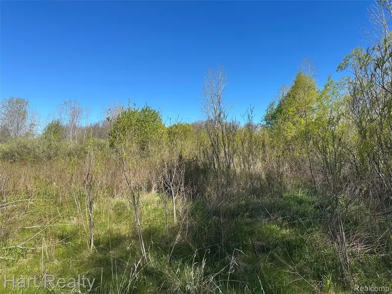 13 Single Tree CIR, Dryden Township, MI 48428