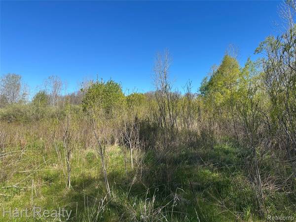 13 Single Tree CIR, Dryden Township, MI 48428
