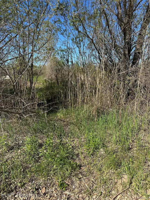13 Single Tree CIR, Dryden Township, MI 48428