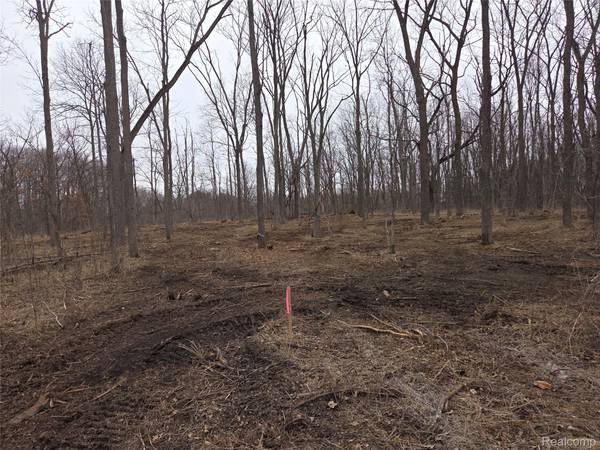 parcel D parcel D cullen rd, Hartland Township, MI 48353