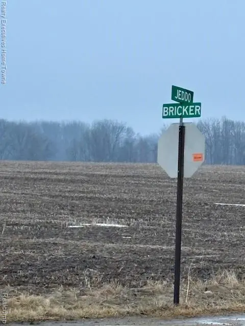 0 Jeddo RD, Greenwood Township, MI 48006