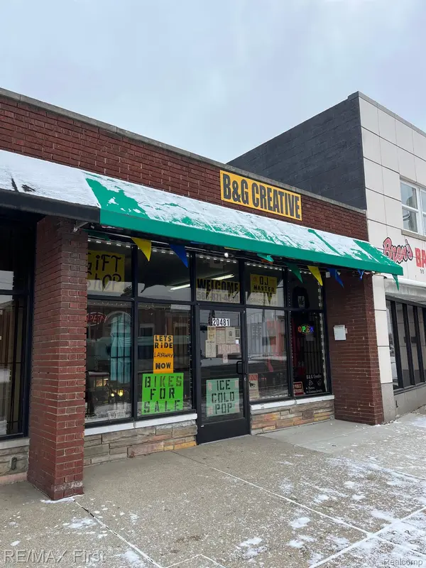 20477 VAN DYKE ST, Detroit, MI 48234