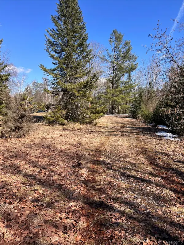 3120 Lakeshore DR, Curtis Township, MI 48737