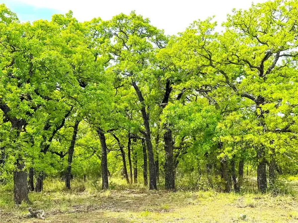 17101 Fm-920, Poolville, TX 76487