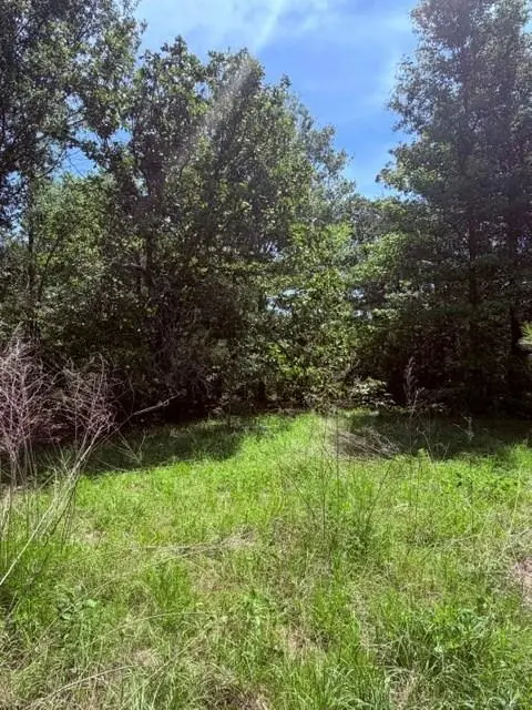 00 County Road 3105, Chandler, TX 75758