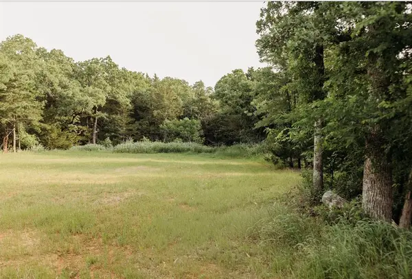 137 Yucatan Village Court, Gordonville, TX 76245