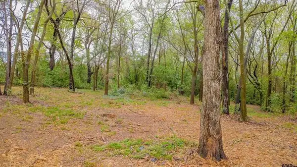 161 Fairway Drive E, Hideaway, TX 75771