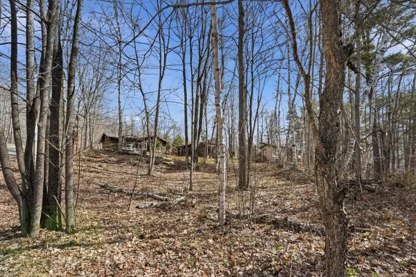 2349 N Baptise Lake RD, Hastings Highlands, ON K0L 1C0