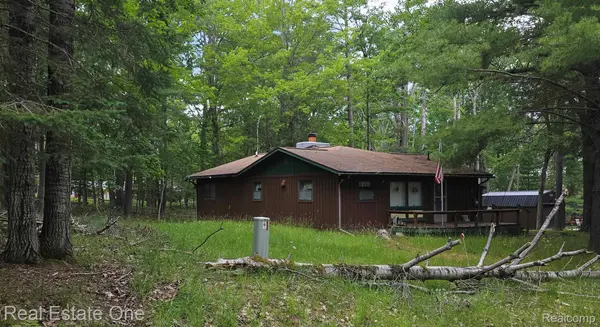 4233 N Pheasant RD, Alcona Township, MI 48742