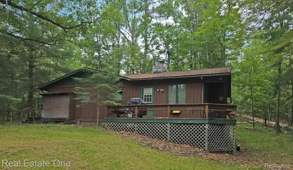 4233 N Pheasant RD, Alcona Township, MI 48742