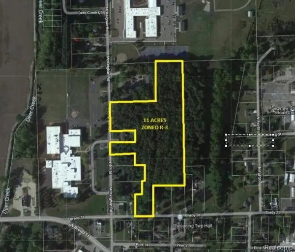 600 N 4TH ST, Chesaning Village, MI 48616