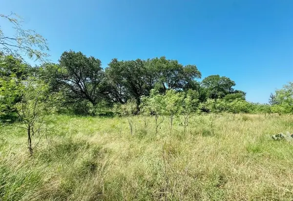 Lot 6 Morris Sheppard Drive, Brownwood, TX 76801