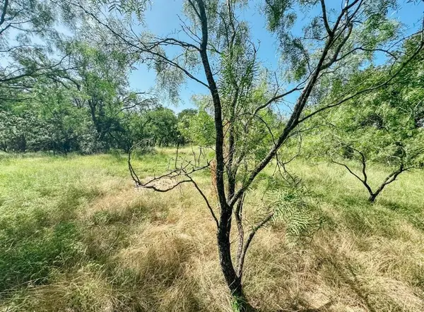 Lot 6 Morris Sheppard Drive, Brownwood, TX 76801
