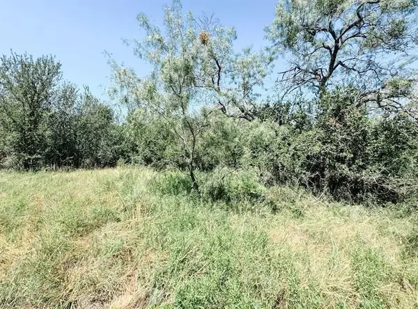 Lot 11 Morris Sheppard Drive, Brownwood, TX 76801