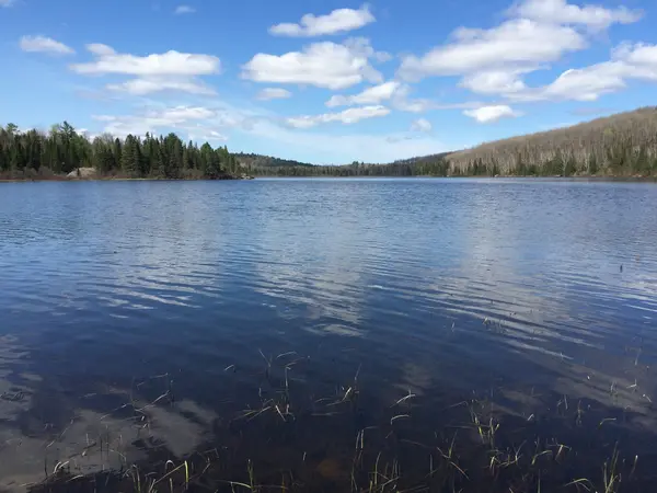 149 Pine Lake RD, Bonfield, ON P0H 2E0