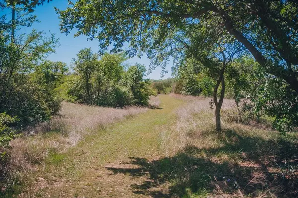 1471 Chapman Court, Annetta, TX 76008