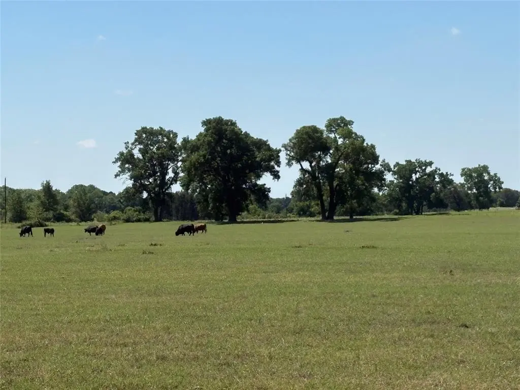 2966 Highway 679, Gorman, TX 76454