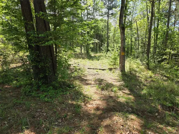 0 Fm 323, Palestine, TX 75801