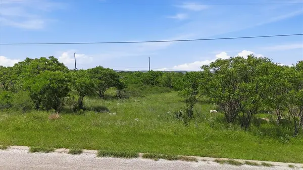 235 Neeleys Slough Drive, Graford, TX 76449